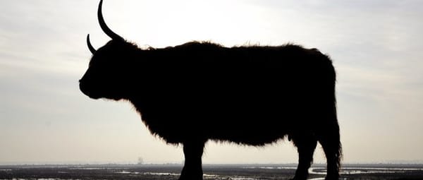 Terletse Heide Terletse Heide