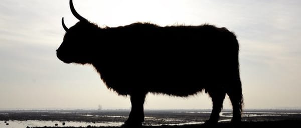 Terletse Heide Terletse Heide