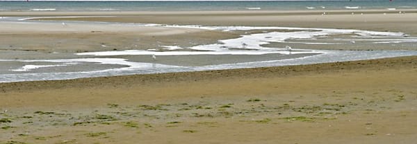 Zeestrand