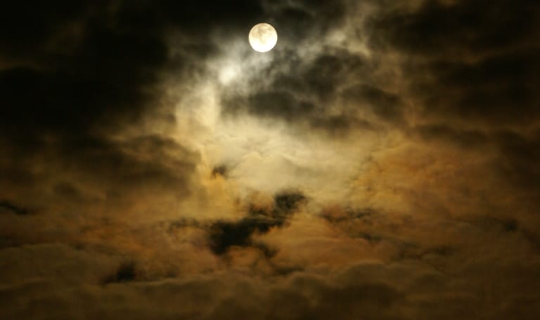 Avondwandeling bij volle maan Mosselse Zand, Veluwe