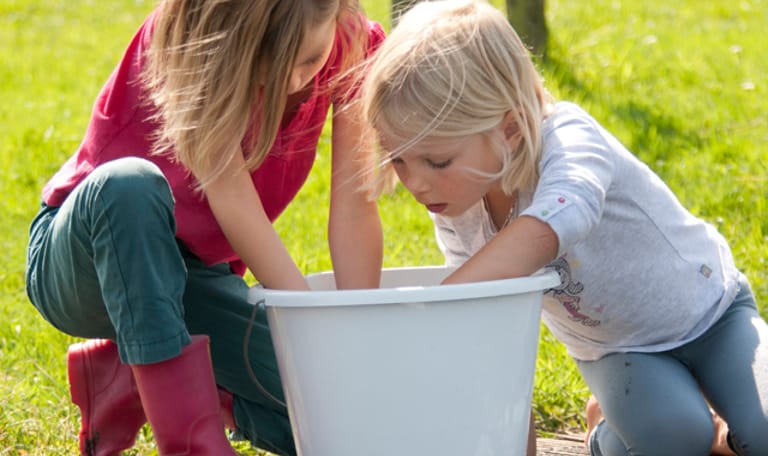 OERRR waterbeestjes vangen Dwingelderveld