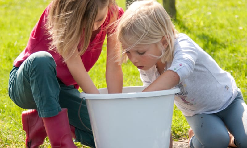 OERRR waterbeestjes vangen Dwingelderveld