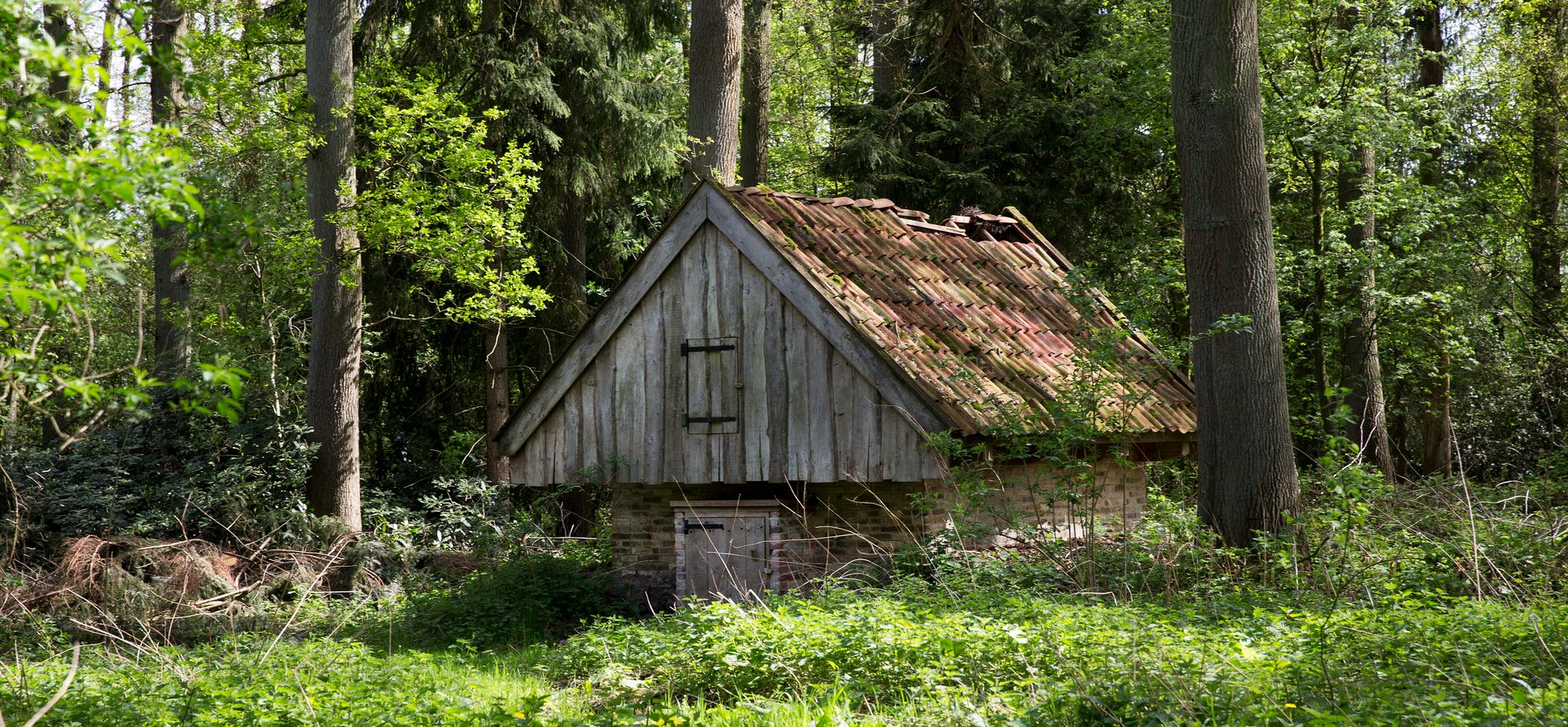 Aardappelkelder op de Hakenberg