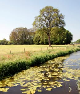 Beneden-Dinkeldal