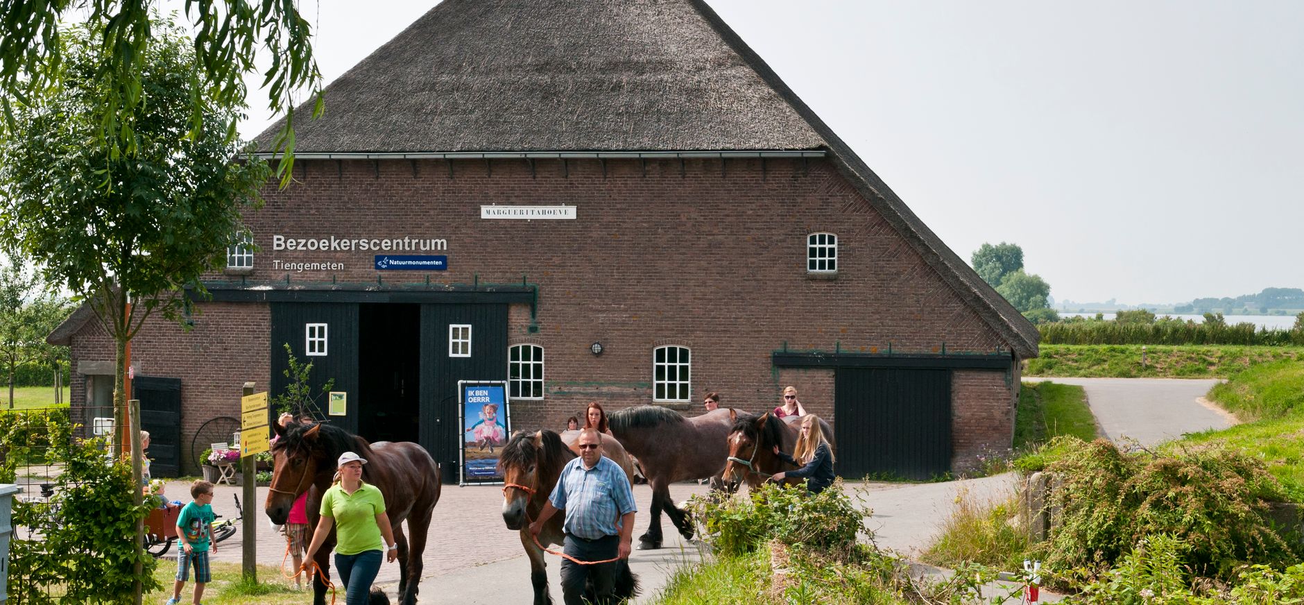 Marguerita Hoeve