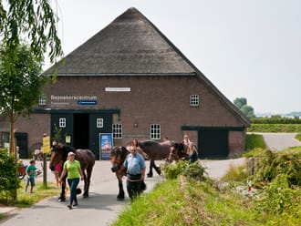 Marguerita Hoeve