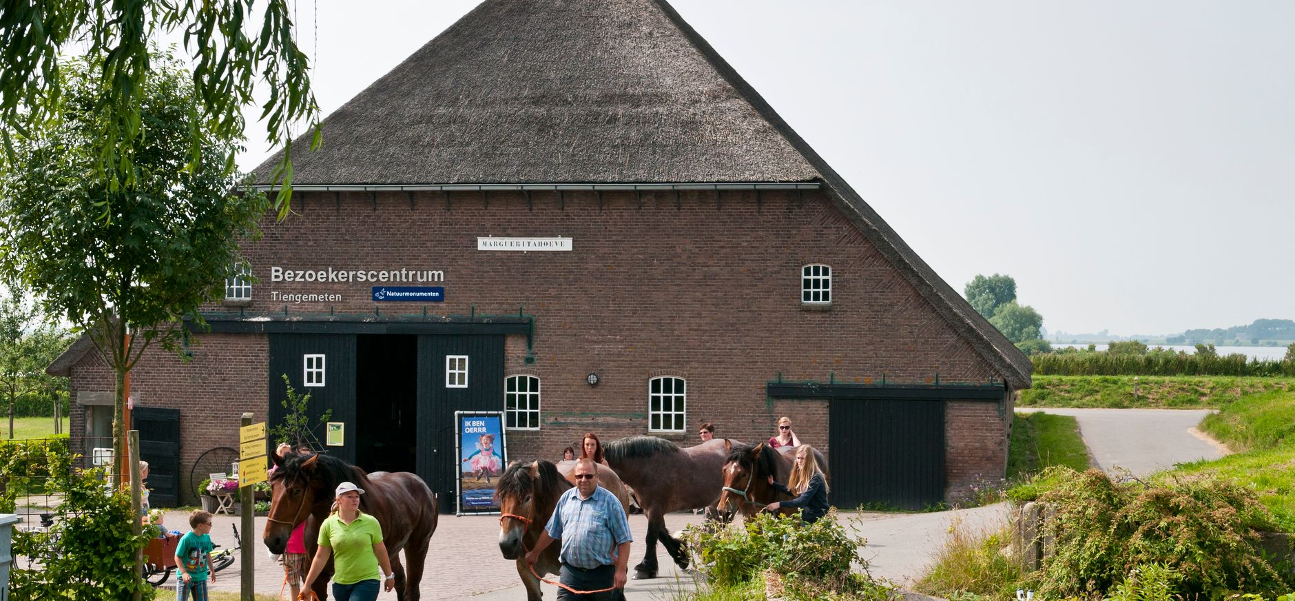Marguerita Hoeve
