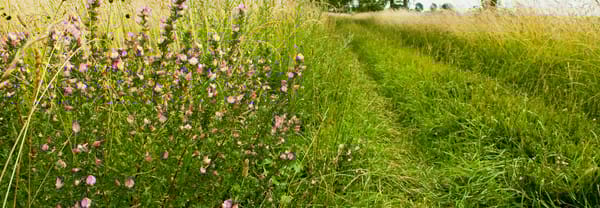 Bloemdijken Bloemdijken