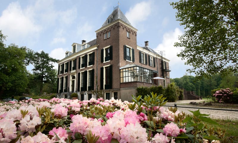 Rododendrons op Boekesteyn