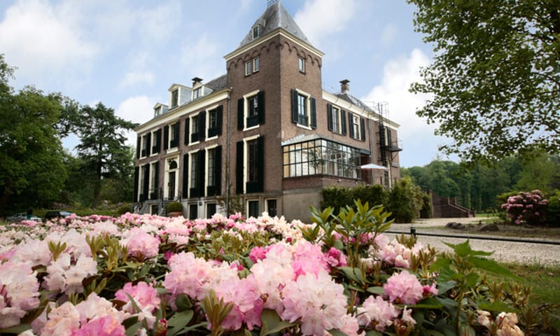 Rododendrons op Boekesteyn
