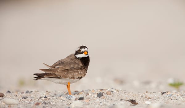 Uitwaaien op het strand Uitwaaien op het strand