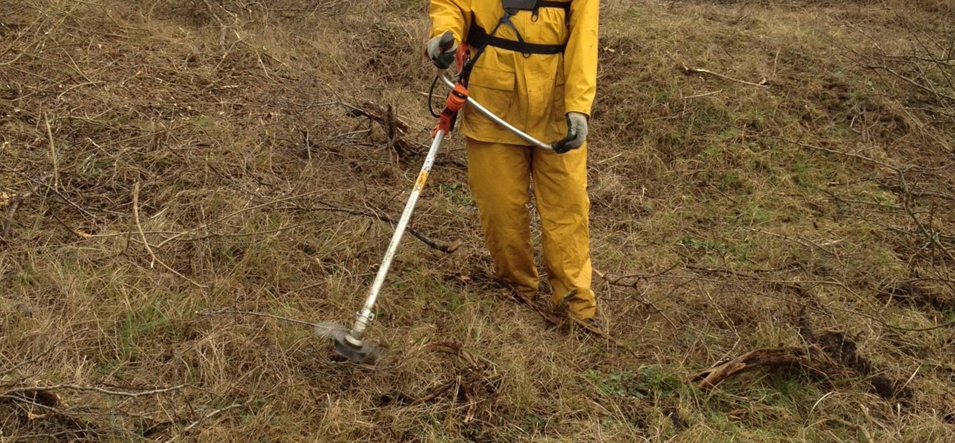 Zorgvuldige afronding LIFE-herstel Voornes Duin in volle gang