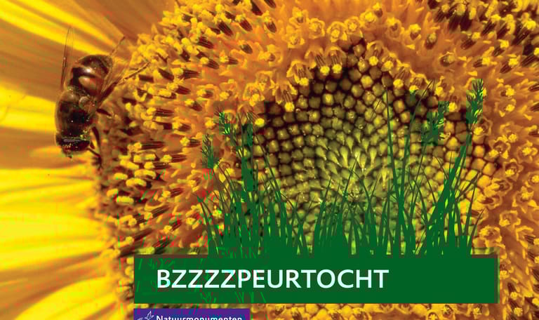 Bzzzzpeurtocht Oisterwijkse Bossen en Vennen