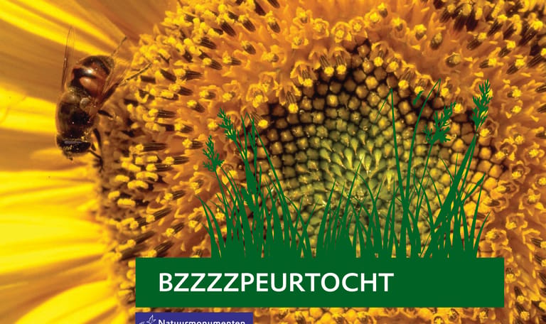 Bzzzzpeurtocht Brunssummerheide