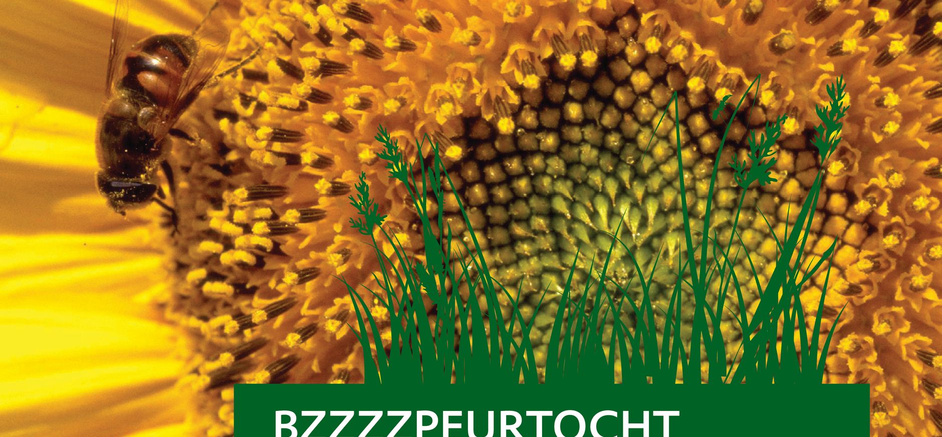 Bzzzzpeurtocht Brunssummerheide