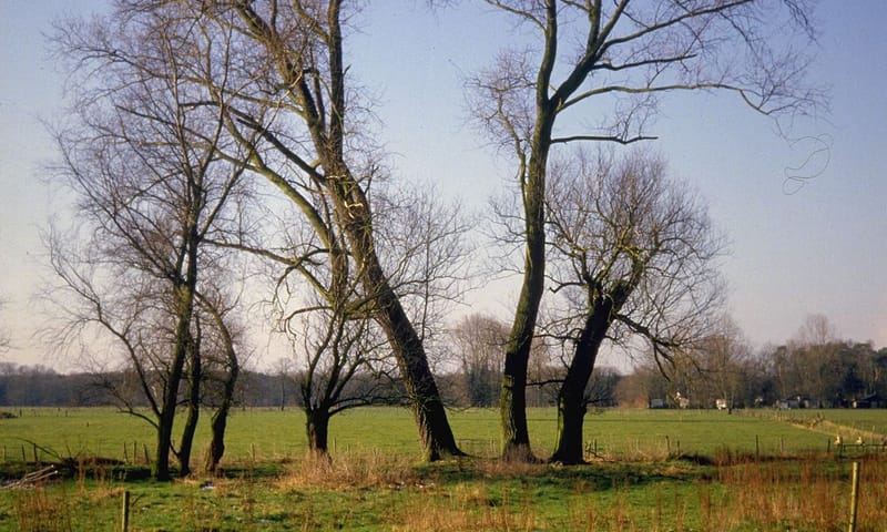 Kleinschalig landschap van de Chaamse Beek