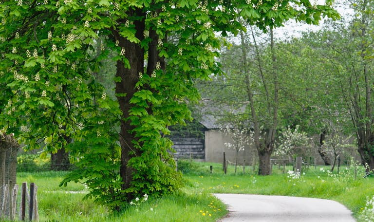 Landgoed Coelhorst bij Amersfoort