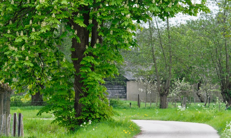 Landgoed Coelhorst bij Amersfoort