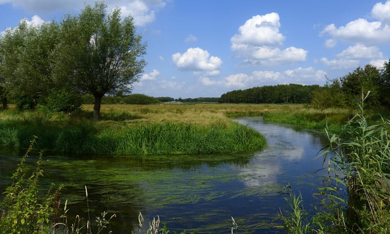 Dommeldal