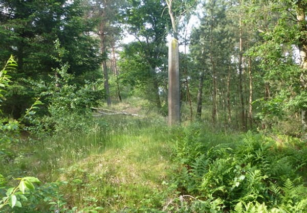 Grenswal