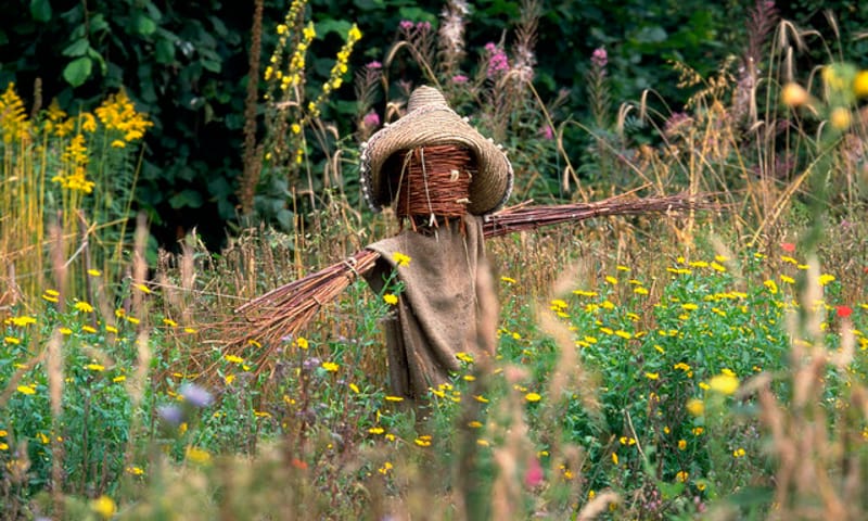 Educatieve tuin IVN-heemtuin