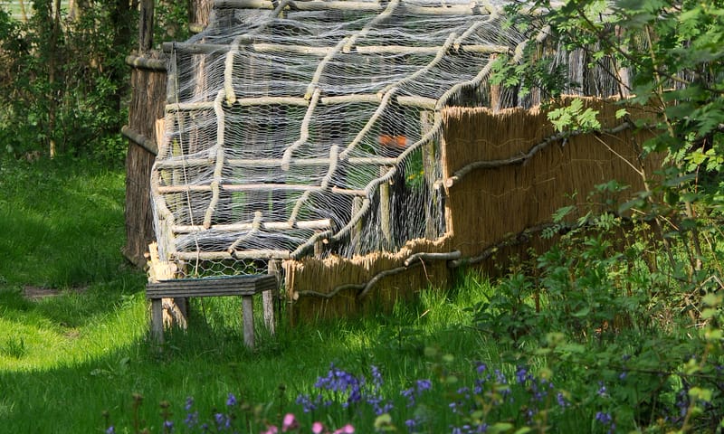 Vangpijp Eendenkooi Het Aalkeetbuiten