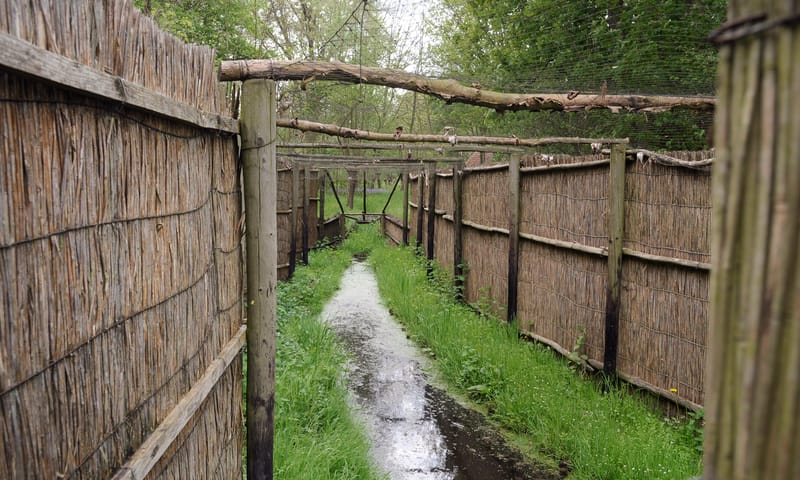 Eendenkooi Het Aalkeetbuiten