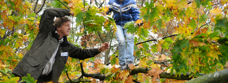 OERRR Struinen met de boswachter in het herfstbos