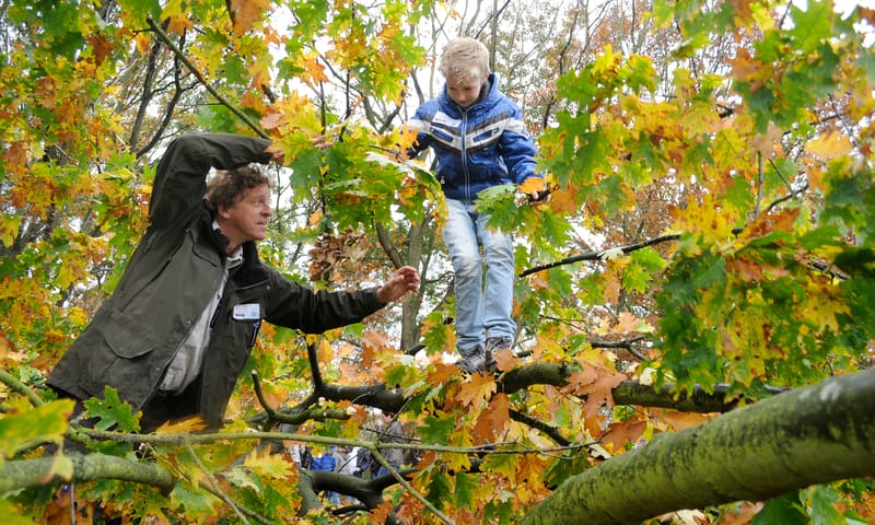 OERRR Struinen met de boswachter in het herfstbos