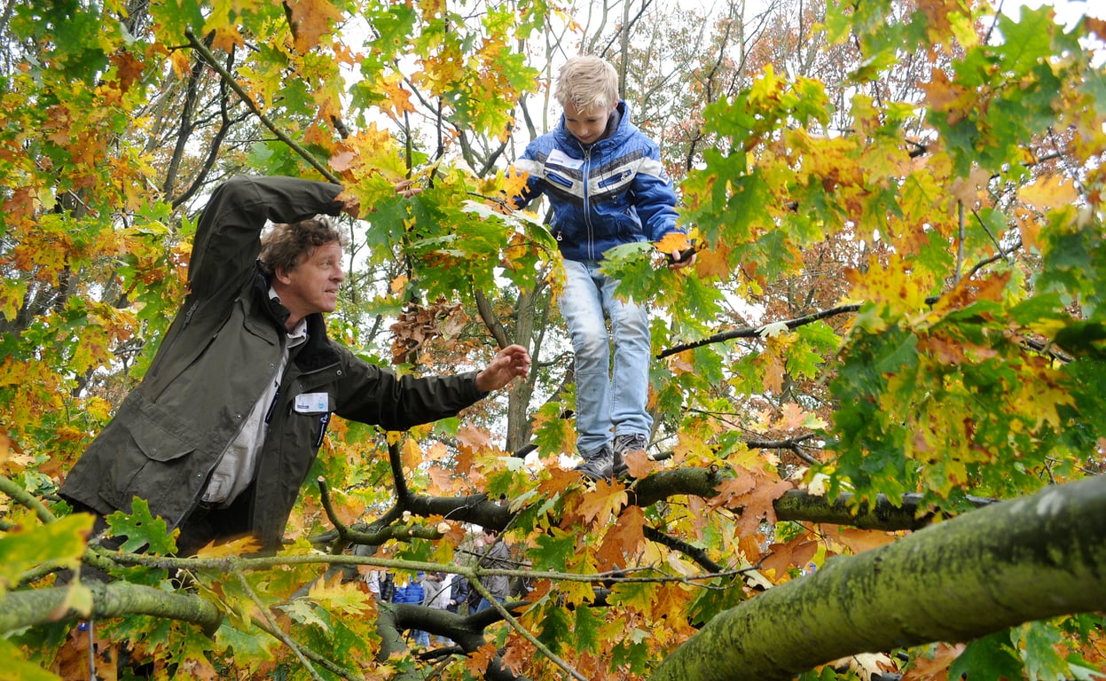 OERRR Struinen in het herfstbos in 's-Graveland