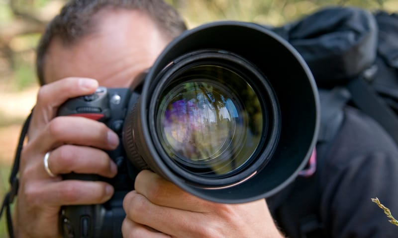 Varen en landschaps-/macrofotografie