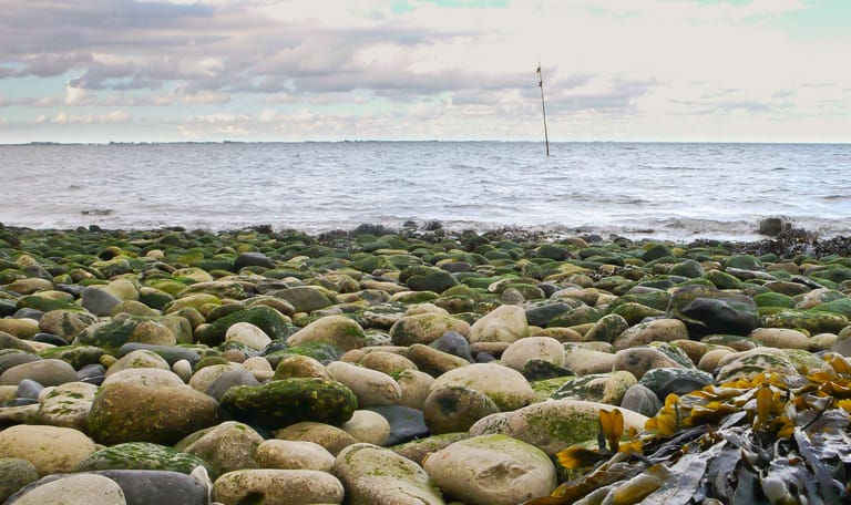 Nationaal Park Oosterschelde