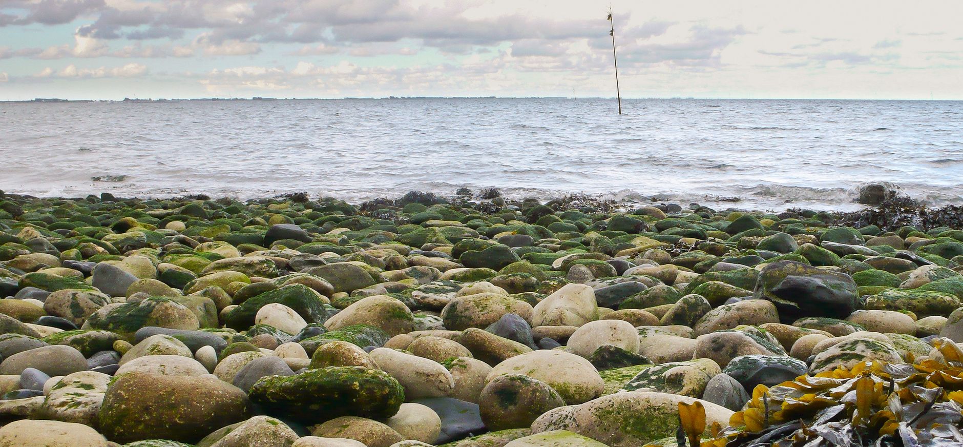 Nationaal Park Oosterschelde