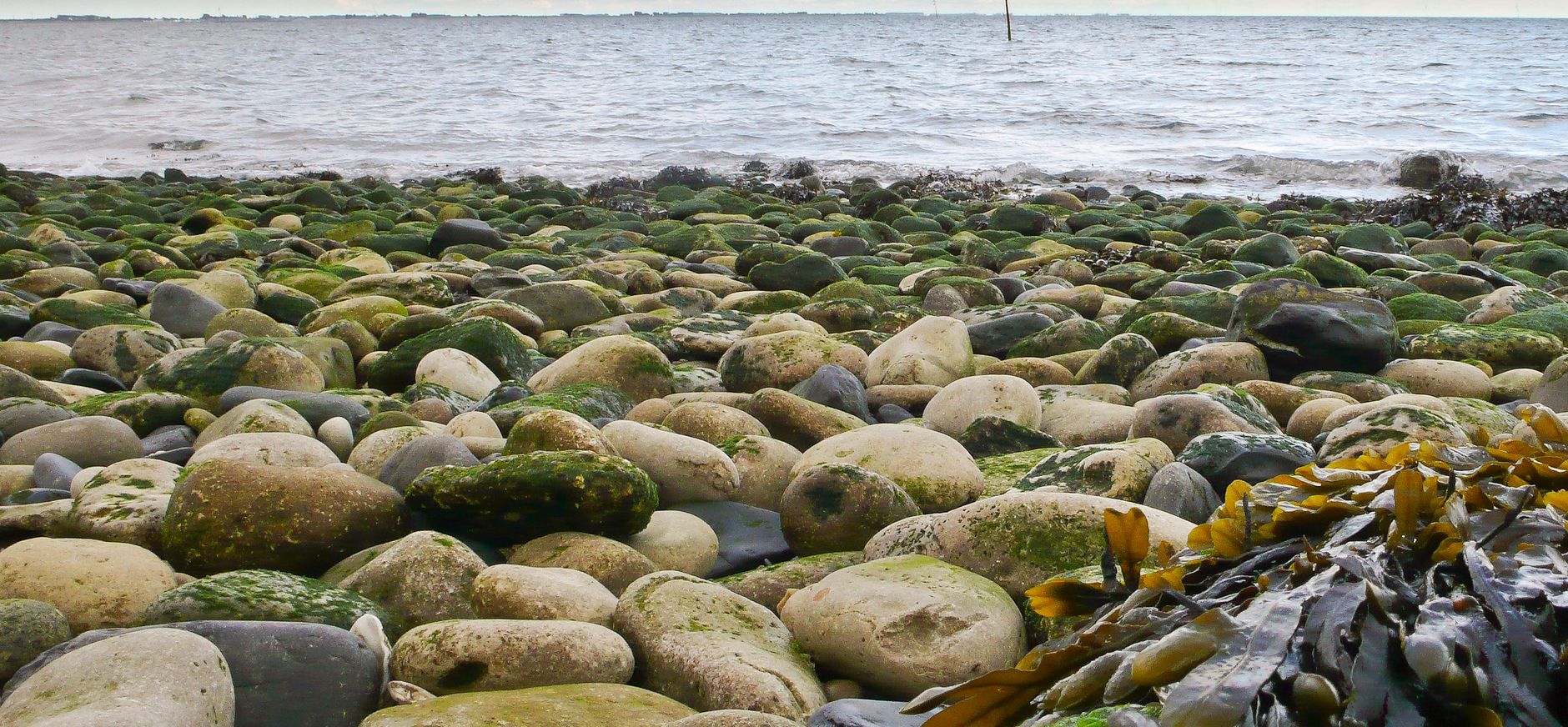 Nationaal Park Oosterschelde
