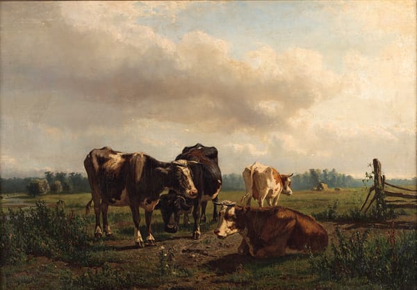 Boerenland met koeien Boerenland met koeien