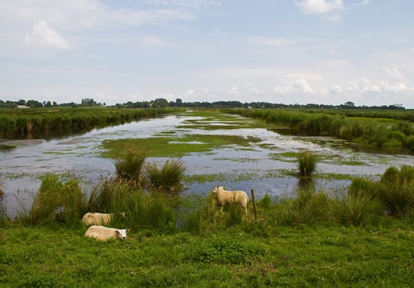 Welkom in de Groene Jonker! Welkom in de Groene Jonker!