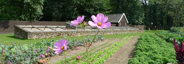 Hof van Hackfort