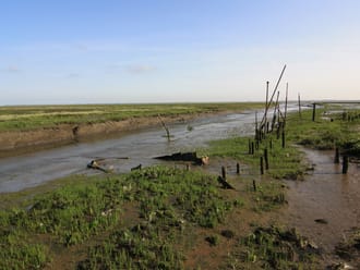 Haven Rattekaai