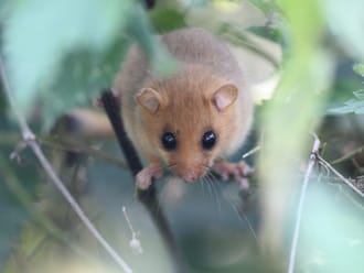 Dwars door het Geuldal