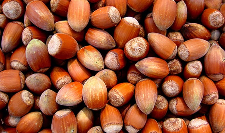 Hazelnootkoekjes bakken