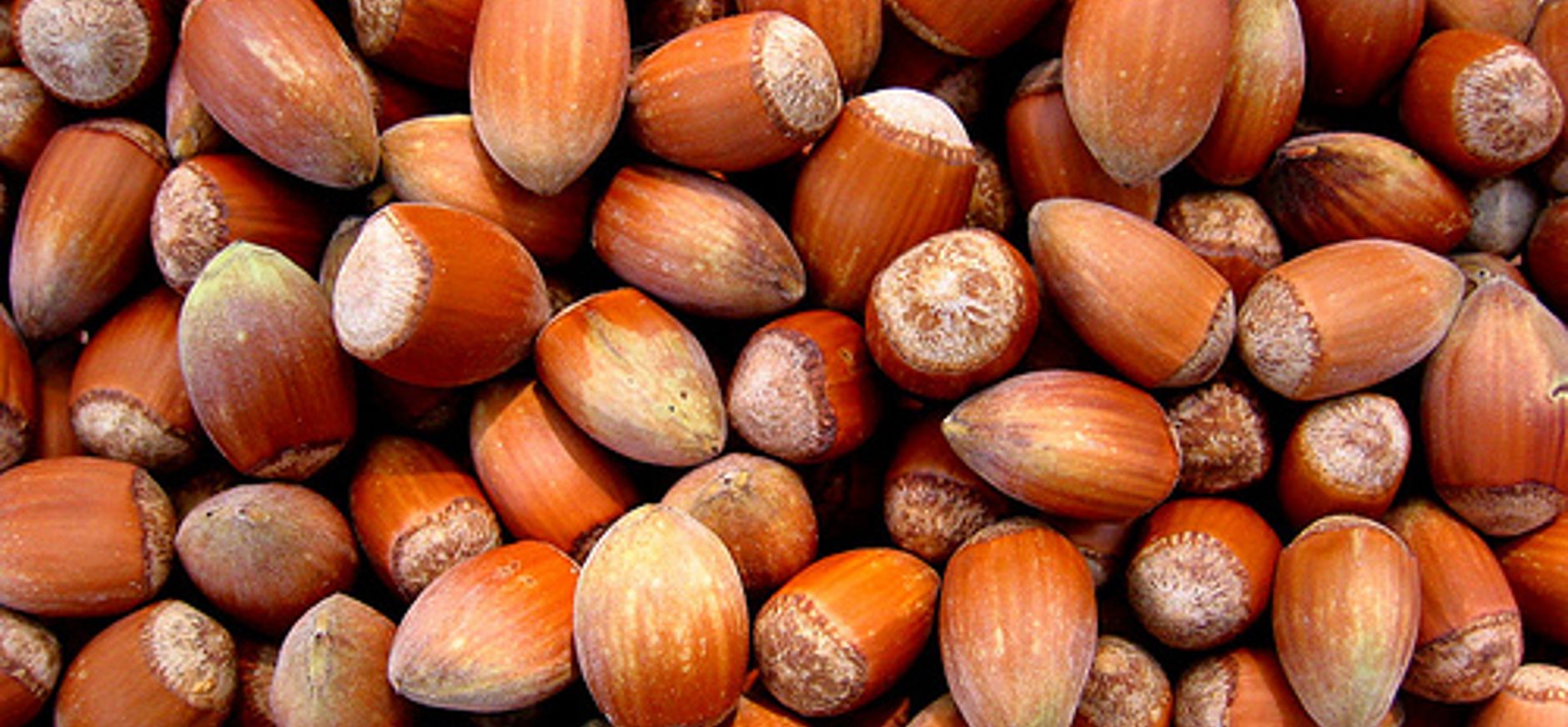 Hazelnootkoekjes bakken