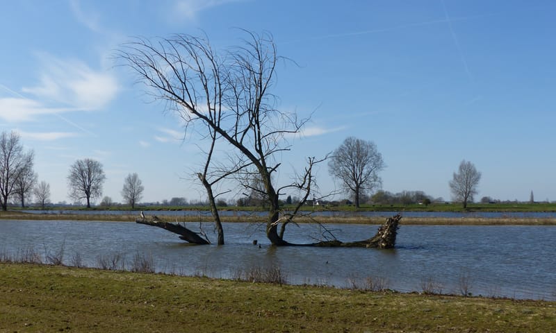 Rondwandeling Hemelrijkse Waard