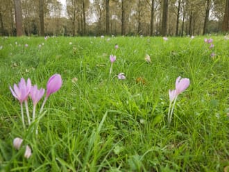Wandelroute Vloeiweiden, bij Bergeijk