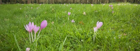 Wandelroute Vloeiweiden, bij Bergeijk
