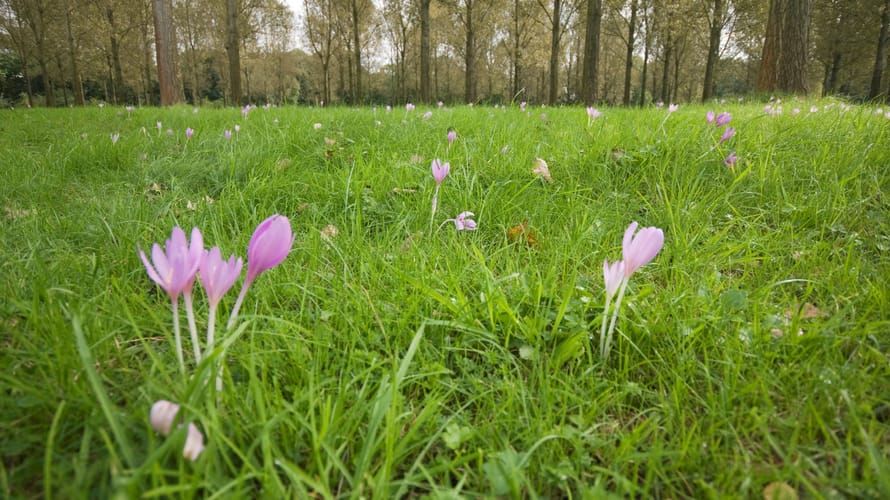 Wandelroute Vloeiweiden, bij Bergeijk