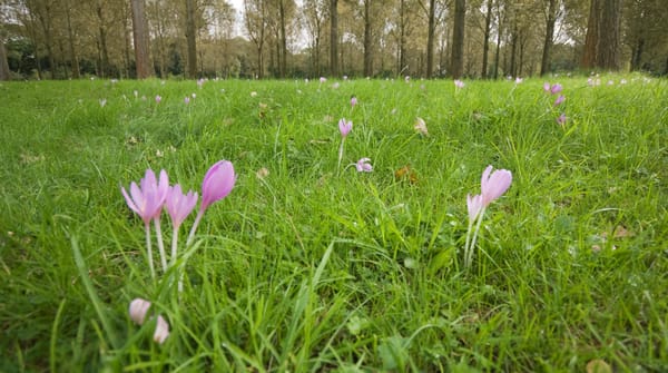 Wandelroute Vloeiweiden, bij Bergeijk