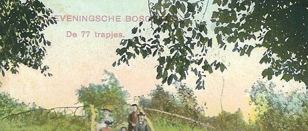 De Scheveningse Bosjes De Scheveningse Bosjes