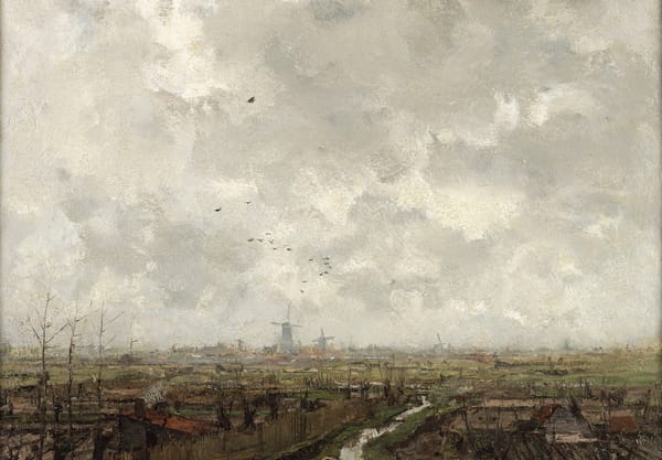 Drassig landschap