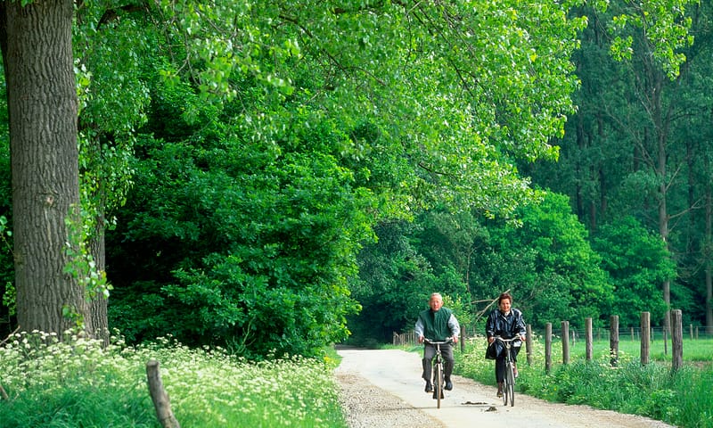 Fietsen door het IJzerenbos