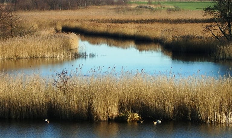 Wandelroute Waverhoek, vlak bij de Vinkeveense plassen